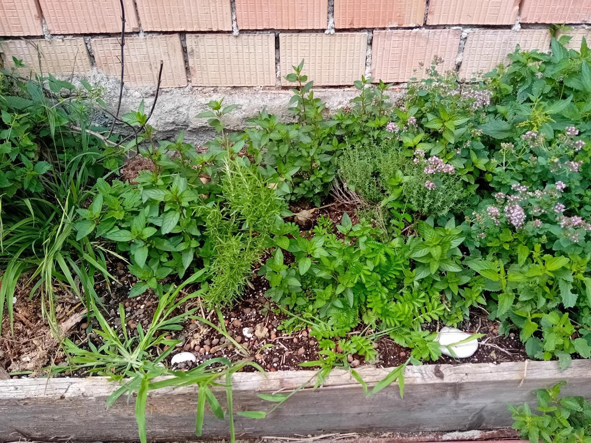 Statek Apartment Veverska Bityska Екстериор снимка